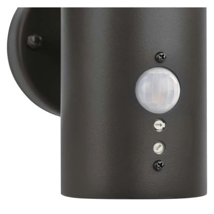Уличный настенный светильник с датчиком ARTEO 1xE27/15W/230V IP44