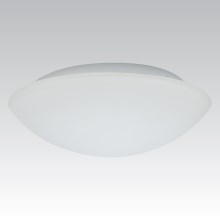 Уличный настенный светильник KAROLINA 2xE27/60W IP44 опаловое стекло
