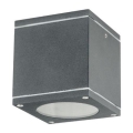 Уличный потолочный светильник QUAZAR 1xGU10/20W/230V IP44