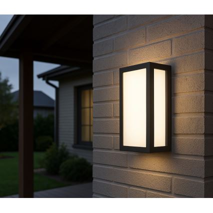 Уличный светодиодный настенный светильник ENTERA LED/10W/230V 4000K IP54