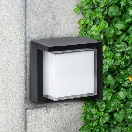 Уличный светодиодный настенный светильник ESSEN LED/12W/230V IP44 черный