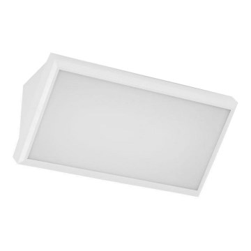 Уличный светодиодный настенный светильник LED/20W/230V 3000K IP65 белый