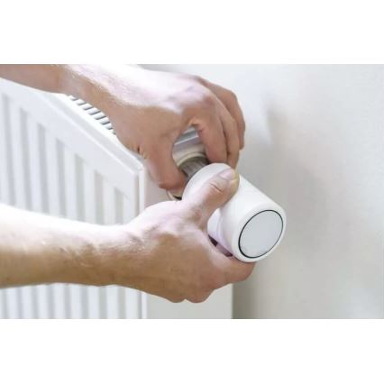 Умная термоголовка с ЖК-дисплеем GoSmart M30x1,5 2xAA/1,5V Tuya