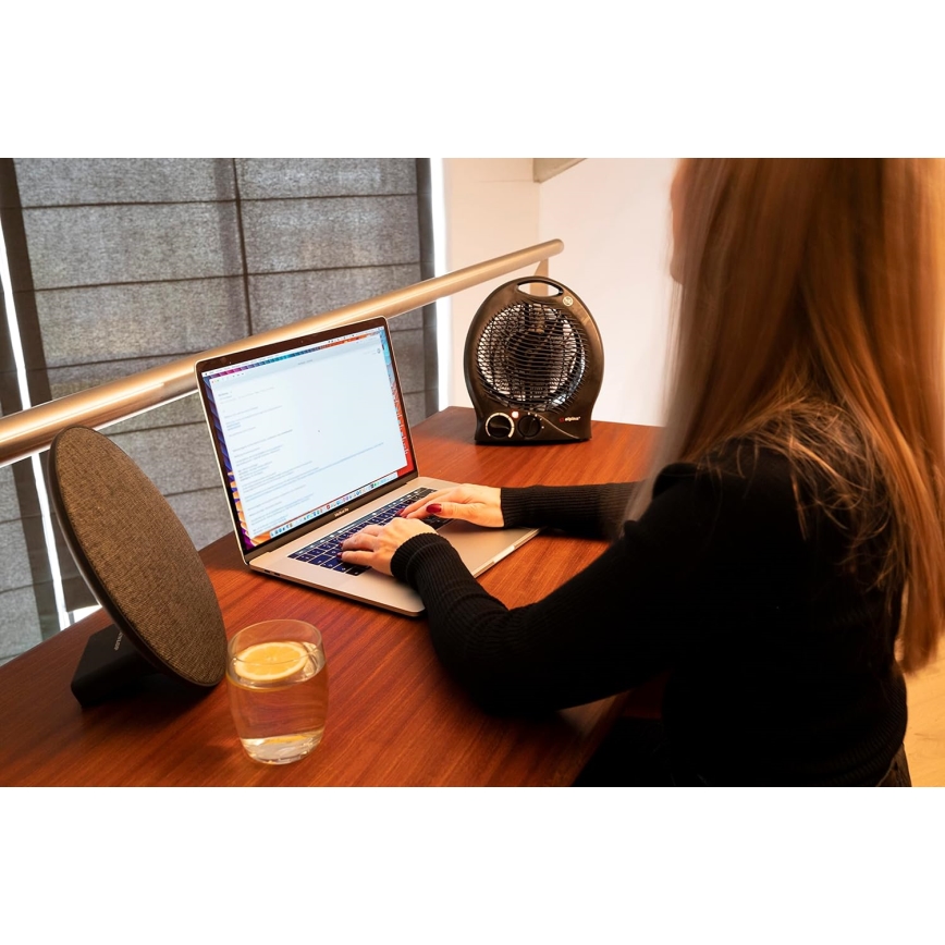 Вентилятор с нагревательным элементом 1000/2000W/230V черный