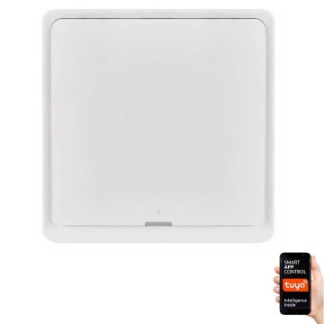 Вимикач 1-кнопковий GoSmart 1xCR2430 Tuya білий