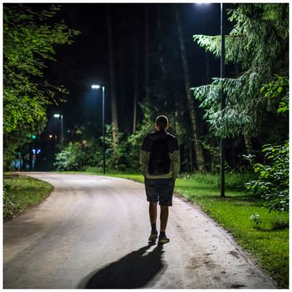 LED Вуличний ліхтар з датчиком руху і освітленості з регулюванням яскравості на сонячній батареї URBI LED/8W/3,2V 6500K IP54 10000 mAh + пульт дистанційного керування