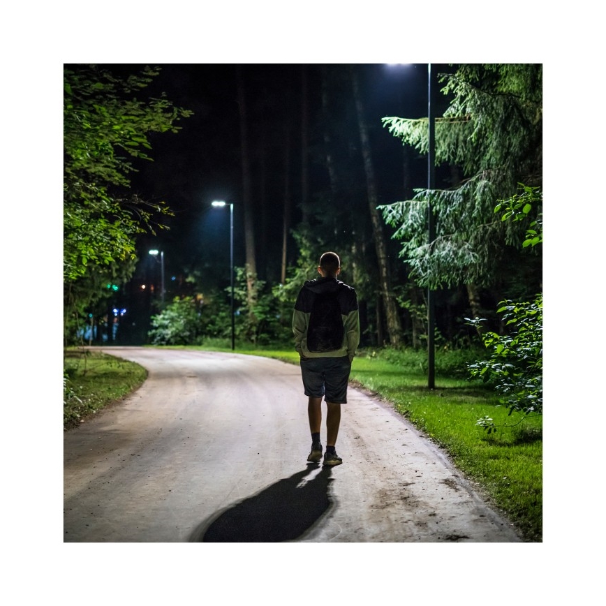 LED Вуличний ліхтар з датчиком руху і освітленості з регулюванням яскравості на сонячній батареї URBI LED/8W/3,2V 6500K IP54 10000 mAh + пульт дистанційного керування