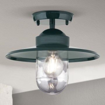 Вулична пристельова люстра EDWARD 1xE27/60W/230V IP44 зелений