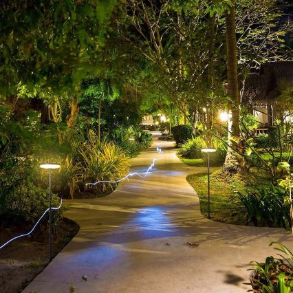 Вулична світлодіодна лампа LED/12W/230V 4000K IP65 антрацит