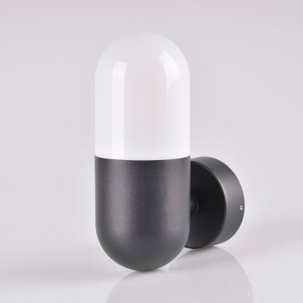 Вуличний настінний світильник HORTEN 1xE27/10W/230V IP44