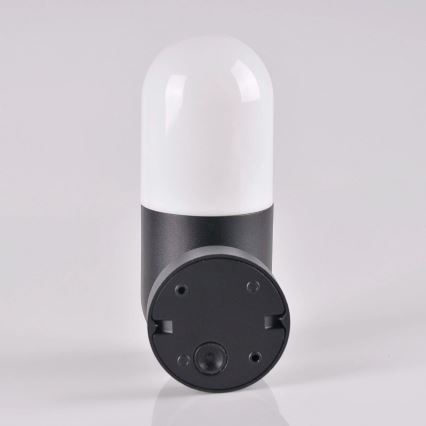 Вуличний настінний світильник HORTEN 1xE27/10W/230V IP44