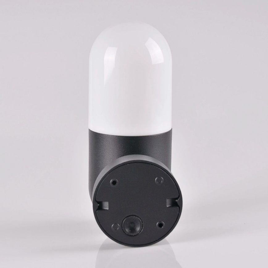 Вуличний настінний світильник HORTEN 1xE27/10W/230V IP44