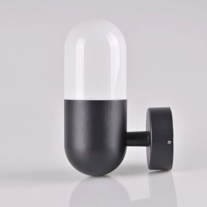 Вуличний настінний світильник HORTEN 1xE27/10W/230V IP44