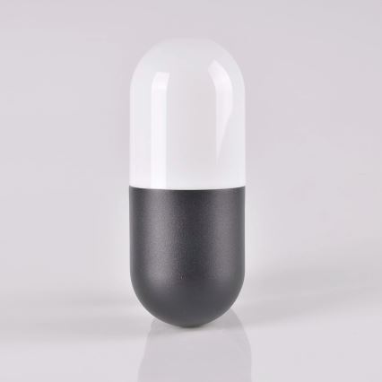 Вуличний настінний світильник HORTEN 1xE27/10W/230V IP44