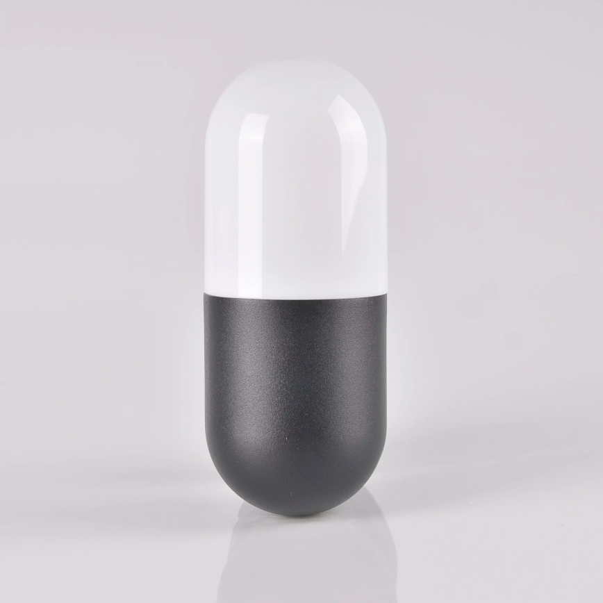 Вуличний настінний світильник HORTEN 1xE27/10W/230V IP44