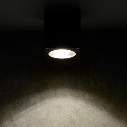 Вуличний настінний світильник MORRIS 1xGU10/35W/230V IP54