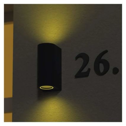 Вуличний настінний світильник OCULUS 2xGU10/7W/230V IP44