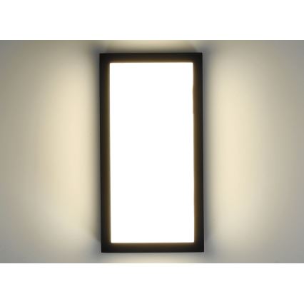 Вуличний світлодіодний настінний світильник ENTERA LED/10W/230V 4000K IP54