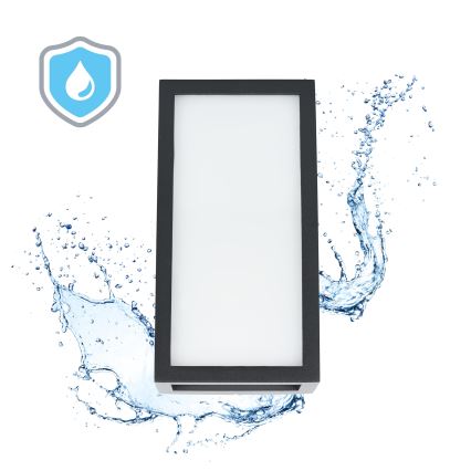 Вуличний світлодіодний настінний світильник ENTERA LED/10W/230V 4000K IP54