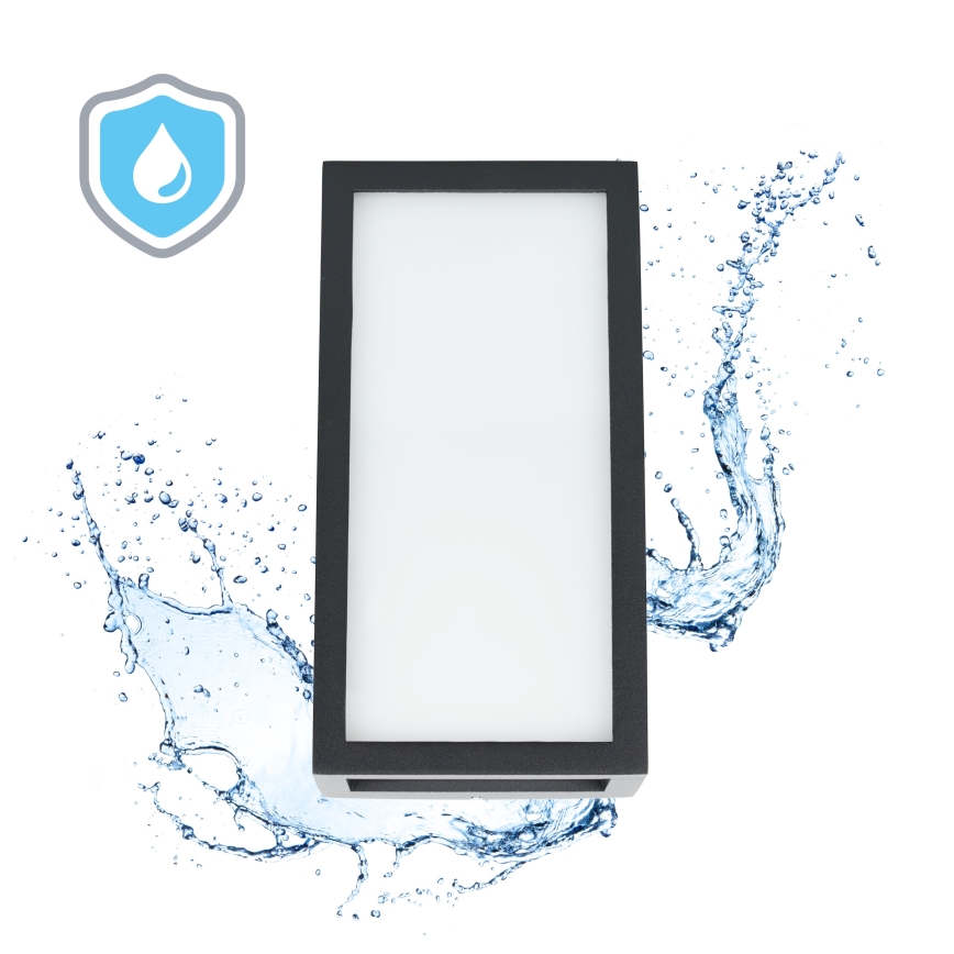 Вуличний світлодіодний настінний світильник ENTERA LED/10W/230V 4000K IP54