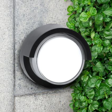 Вуличний світлодіодний настінний світильник ESSEN LED/10W/230V IP44 чорний