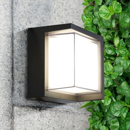 Вуличний світлодіодний настінний світильник ESSEN LED/12W/230V IP44 чорний