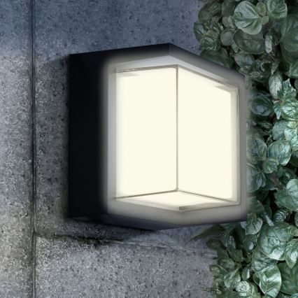 Вуличний світлодіодний настінний світильник ESSEN LED/12W/230V IP44 чорний