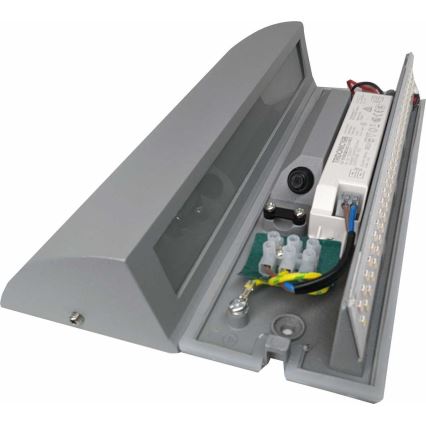 Вуличний світлодіодний настінний світильник LED/10W/230V IP54