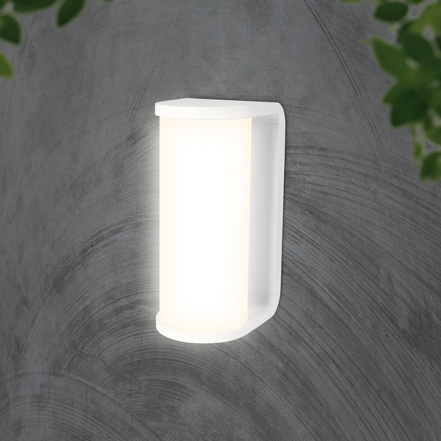 Вуличний світлодіодний настінний світильник LED/12W/230V 3000/4200/6500K IP65 білий