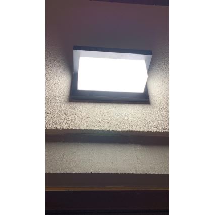 Вуличний світлодіодний настінний світильник LED/12W/230V IP54 чорний