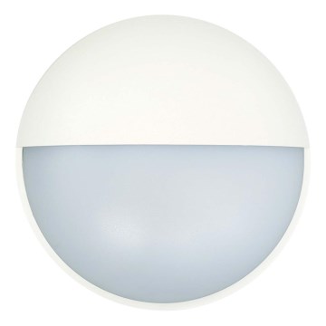 Вуличний світлодіодний настінний світильник LED/14W/230V IP54 білий