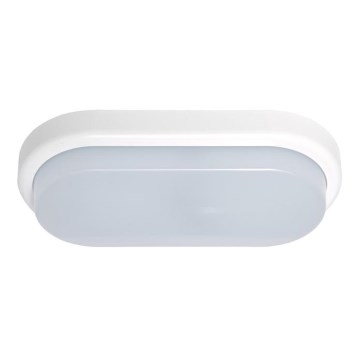 Вуличний світлодіодний настінний світильник OVAL LED/18W/230V IP54