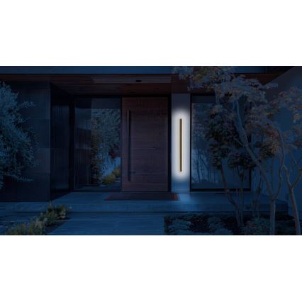 Вуличний світлодіодний настінний світильник STICK LED/12W/230V IP65 3000K 60 см