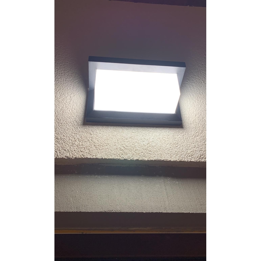 Вуличний світлодіодний настінний світильник з датчиком LED/12W/230V IP54 чорний