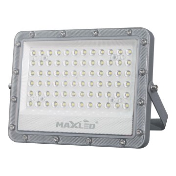 Вуличний світлодіодний прожектор LED/100W/230V 5000K IP65 сірий