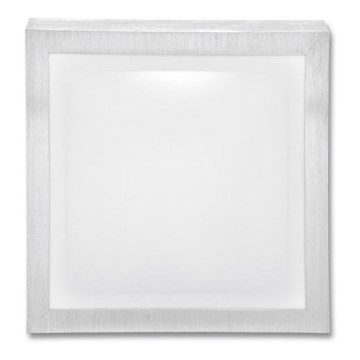 Вуличний світлодіодний стельовий світильник BELA LED/22W/230V IP44