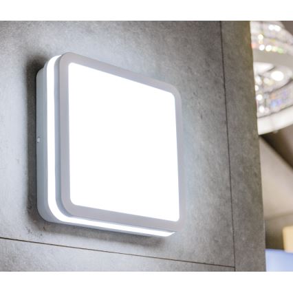 Вуличний світлодіодний стельовий світильник BENO LED/18W/230V IP54