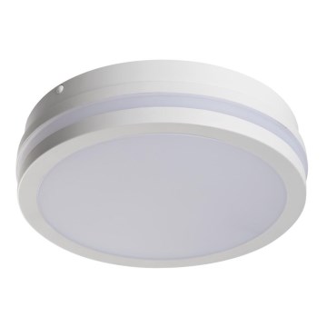 Вуличний світлодіодний стельовий світильник BENO LED/18W/230V IP54