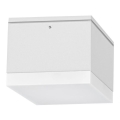Вуличний світлодіодний стельовий світильник BRUNO LED/10W/230V IP54