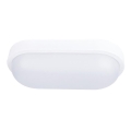 Вуличний світлодіодний стельовий світильник LED/20W/230V IP54