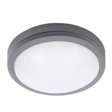 Вуличний світлодіодний стельовий світильник з датчиком SIENA LED/20W/230V 4000K діаметр 23 см IP54