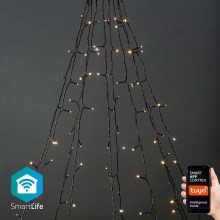 Вулична різдвяна LED гірлянда-штора 200xLED/8 функцій 10x2м IP65 Wi-Fi Tuya теплий-холодний білий