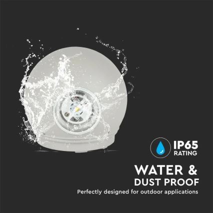 Вуличне світлодіодне настінне світло LED/6W/230V 4000K IP65 сірий