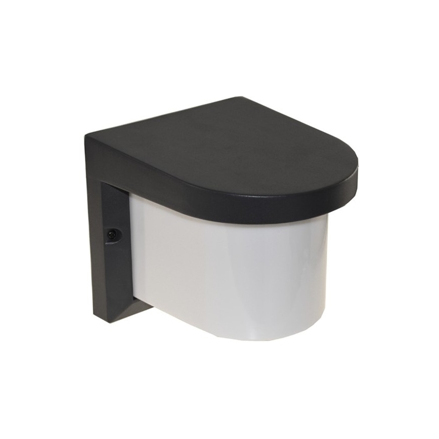 Вуличний настінний світильник PETUNIA 1xE27/60W/230V IP44 антрацит