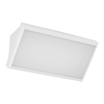 Вуличний світлодіодний настінний світильник LED/12W/230V 4000K IP65 білий