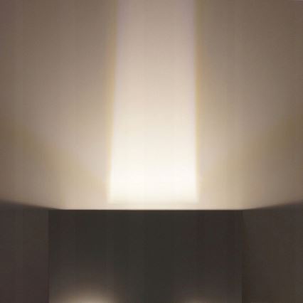 Вуличний світлодіодний настінний світильник LED/12W/230V IP54 білий