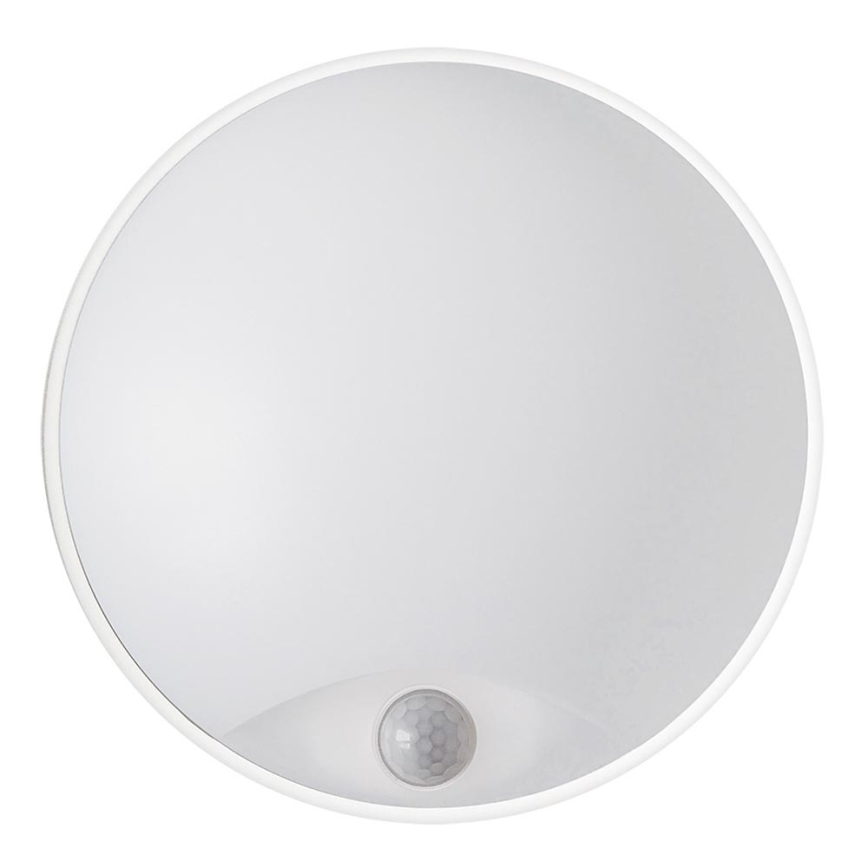 Вуличний світлодіодний настінний світильник LED/14W/230V IP54