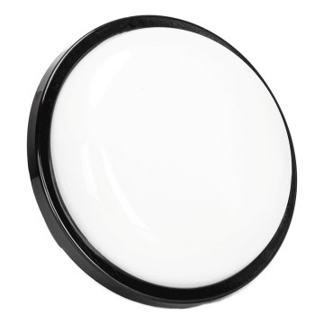 Вуличний світлодіодний настінний світильник LED/15W/230V 6500K діаметр 15,5 см чорний IP65