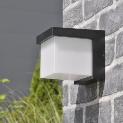 Вуличний світлодіодний настінний світильник MORGAN LED/10W/230V IP54