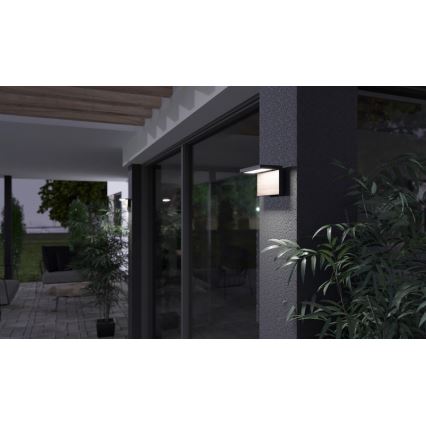 Вуличний світлодіодний настінний світильник NATURA LED/12W/230V 4000K IP65 коричневий/антрацит